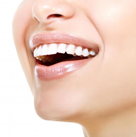 The zygomaticus muscles are used in smiling and laughing.