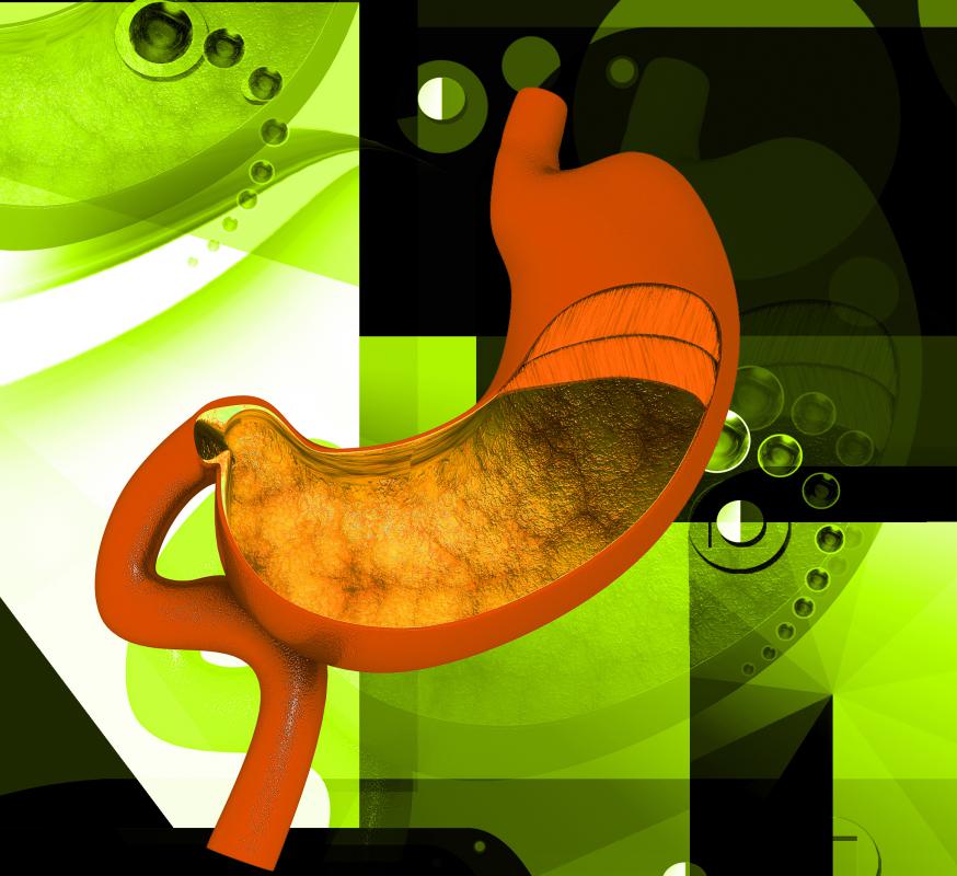 What does "EntericCoated" Mean? (with pictures)